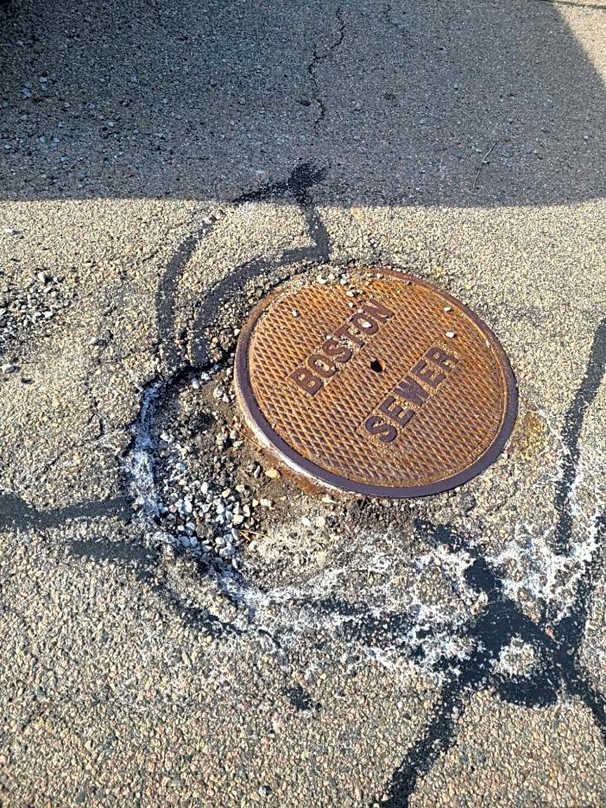 Image submitted with report