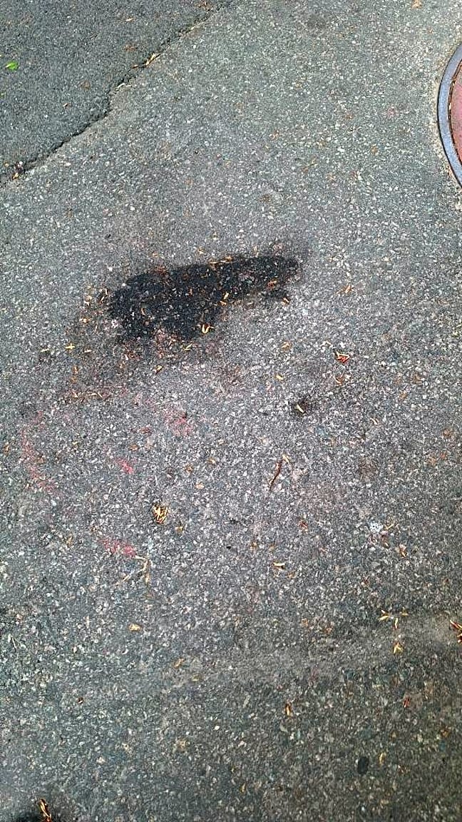 Image submitted with report