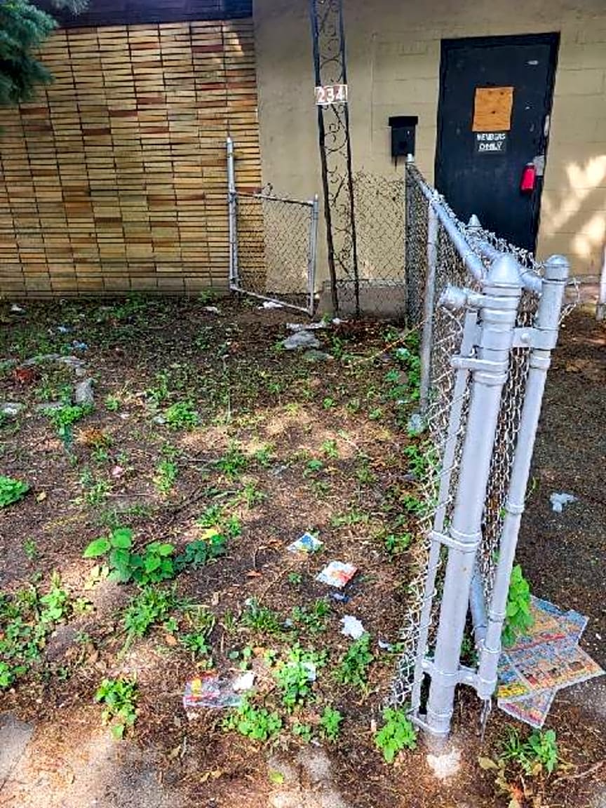 Image submitted with report