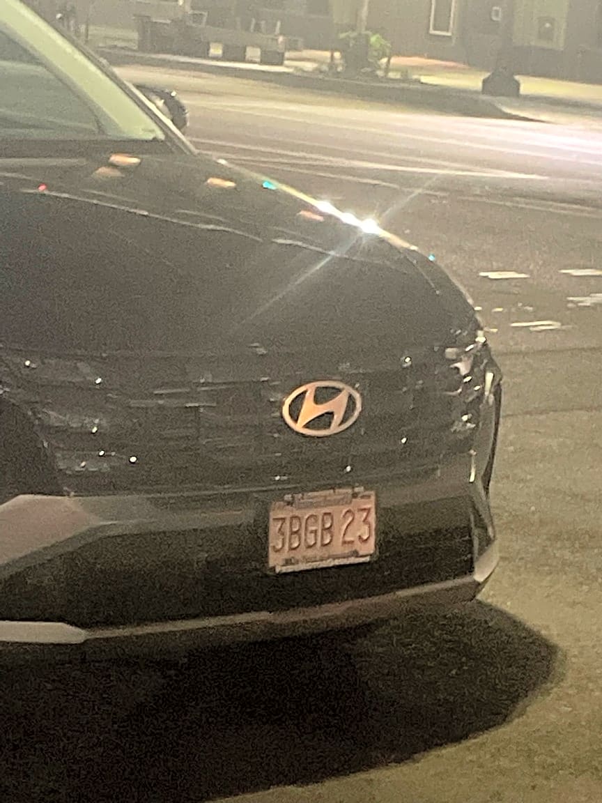 Image submitted with report