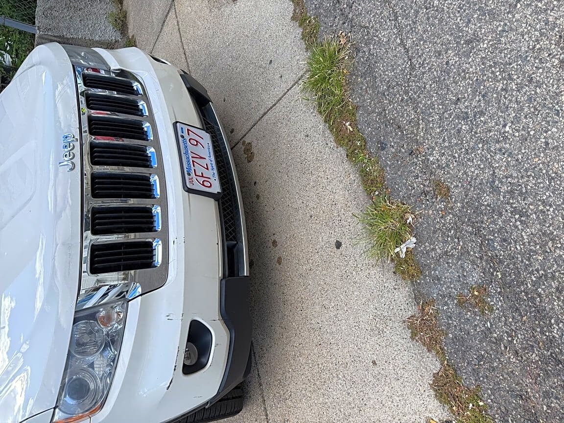Image submitted with report