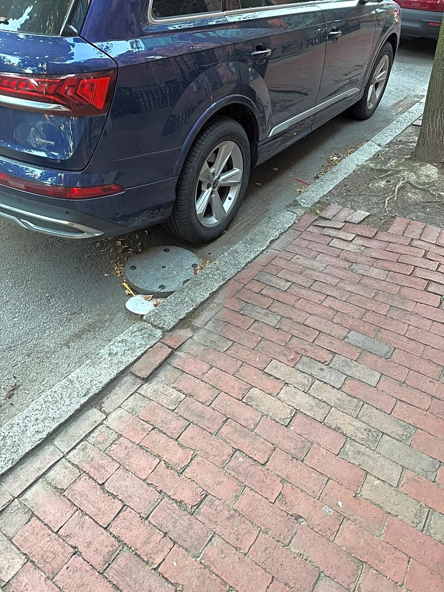 Image submitted with report