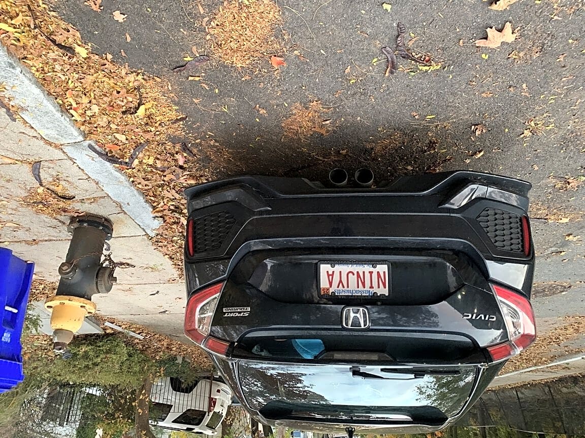 Image submitted with report