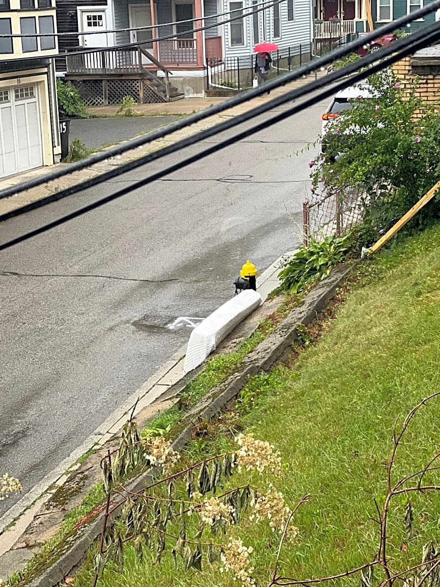 Image submitted with report