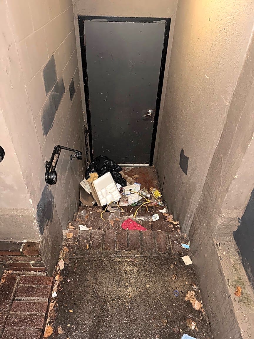 Image submitted with report