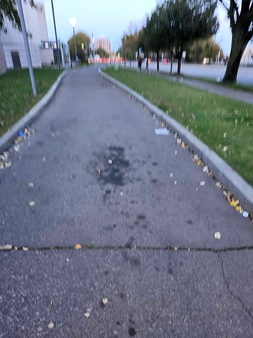 Image submitted with report
