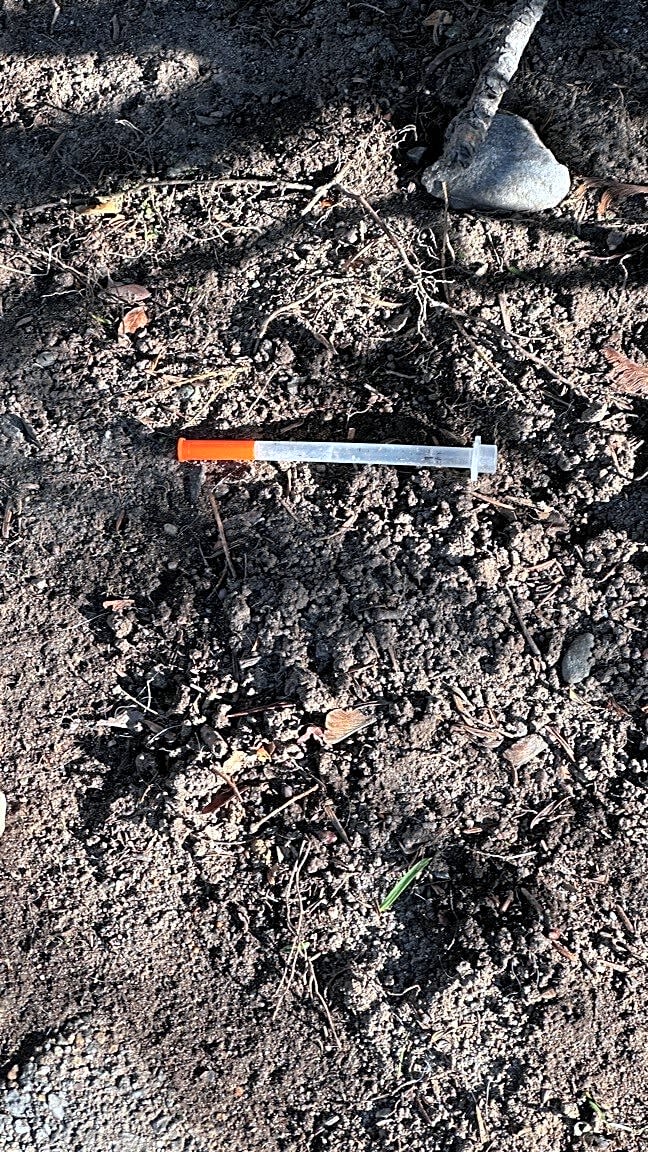 Image submitted with report