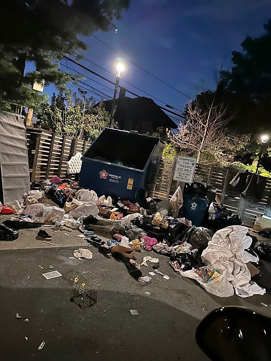 Image submitted with report