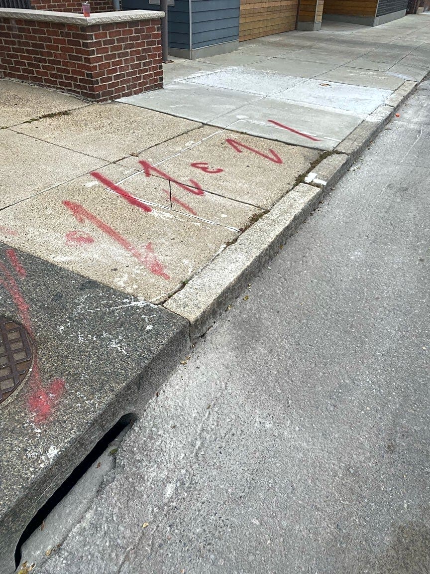 Image submitted with report