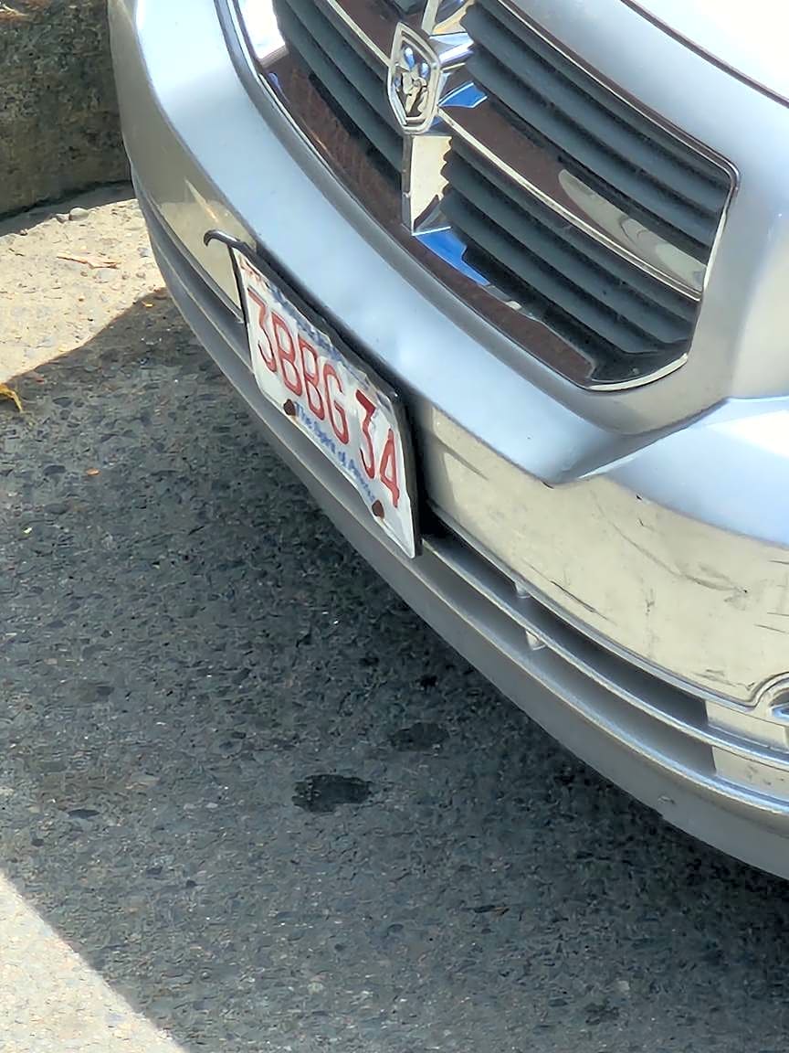 Image submitted with report