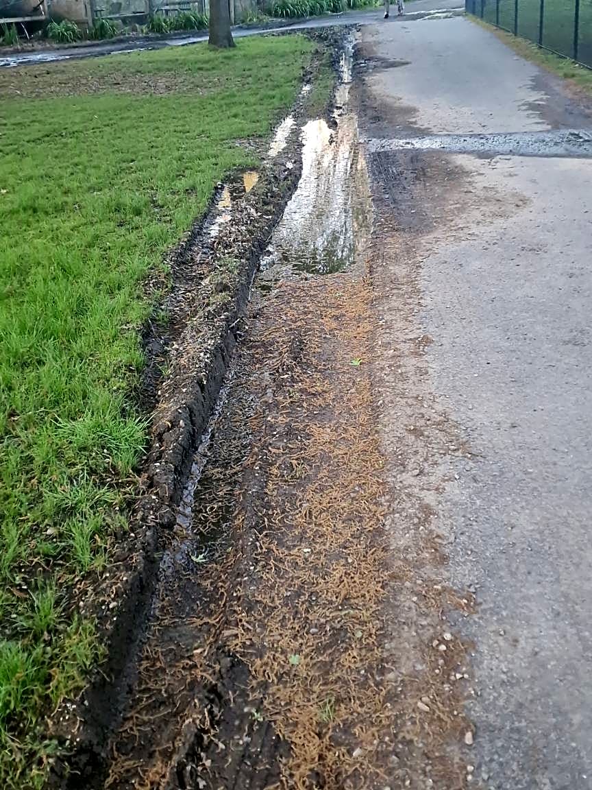 Image submitted with report
