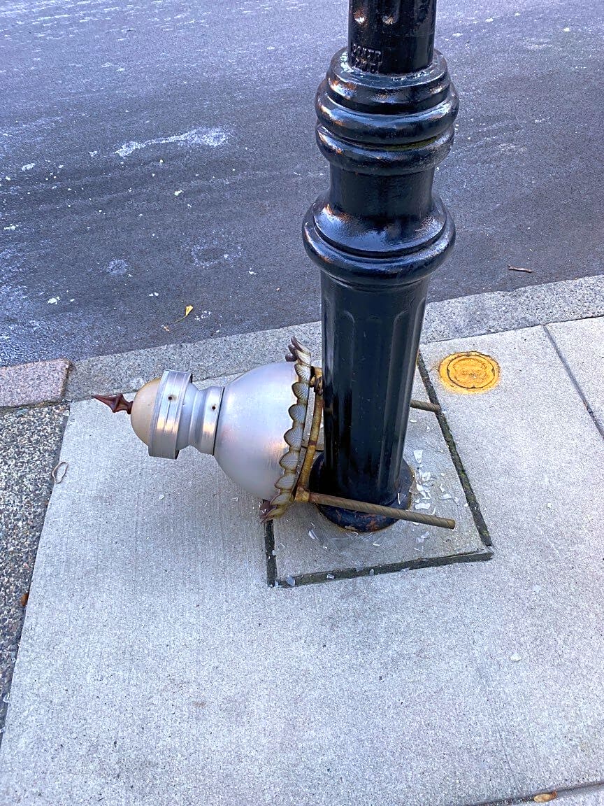 Image submitted with report