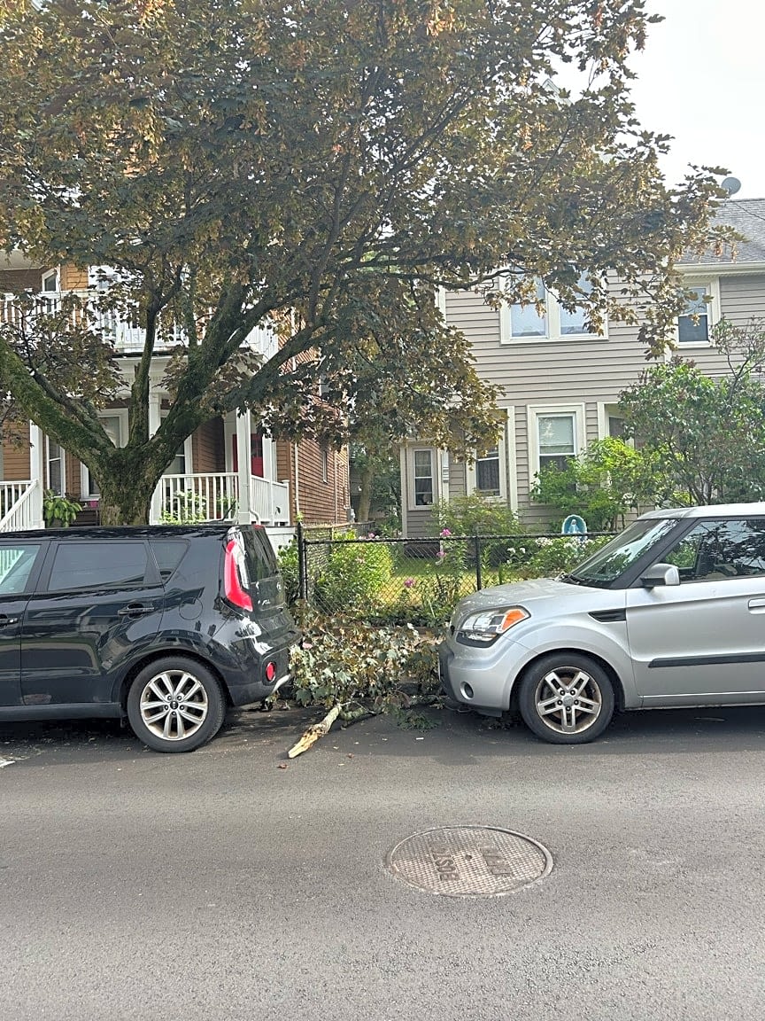 Image submitted with report