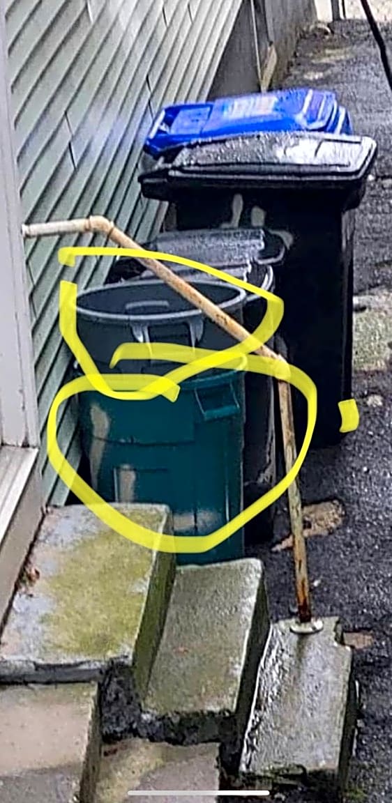 Image submitted with report