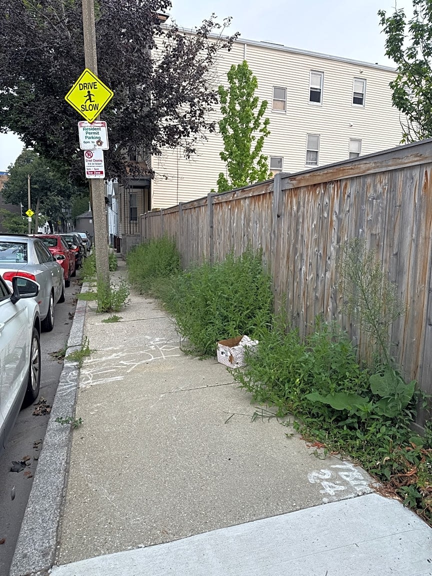 Image submitted with report