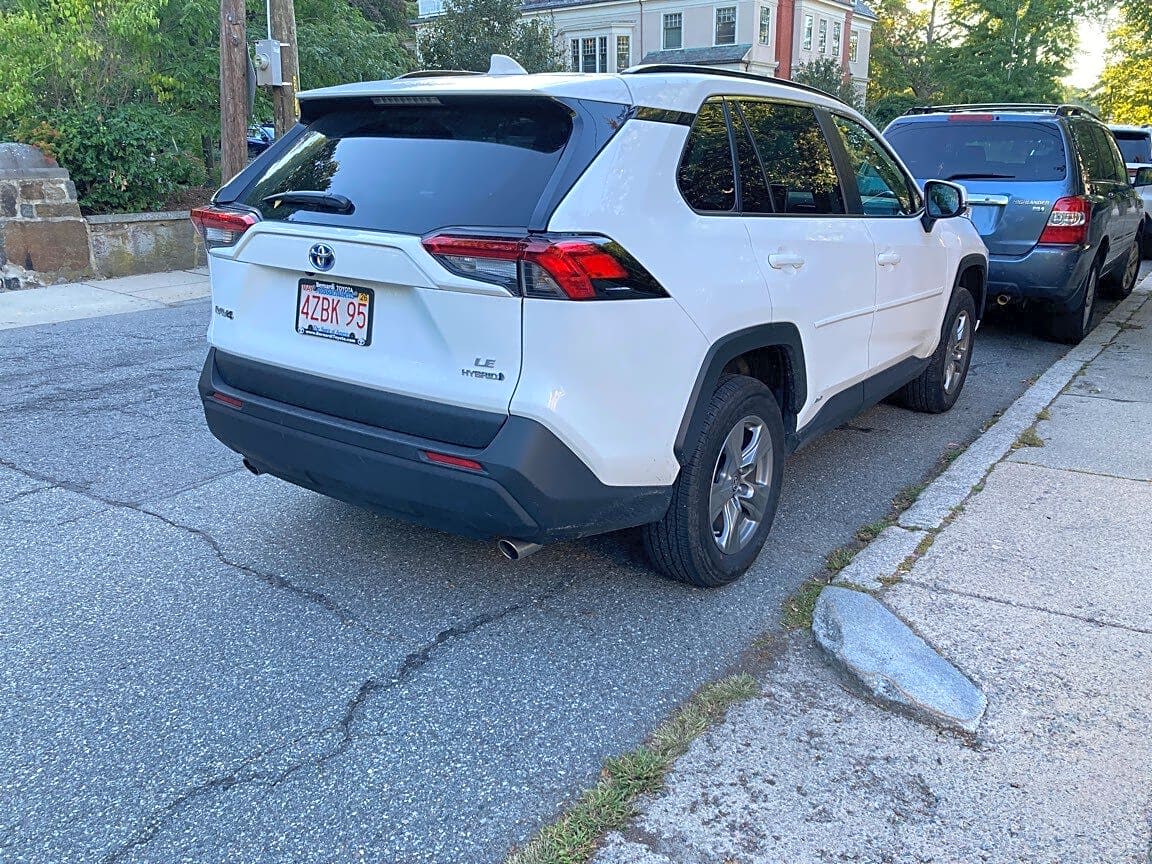 Image submitted with report