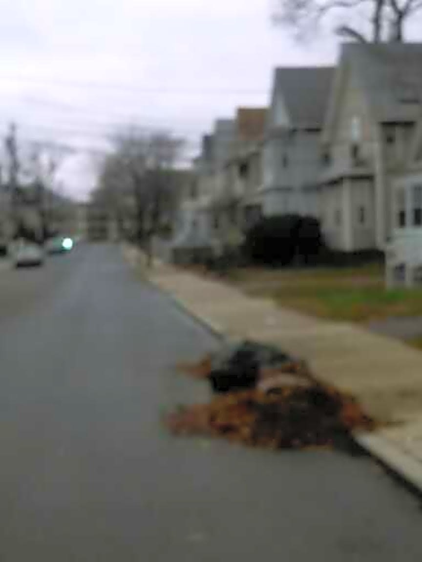 Image submitted with report