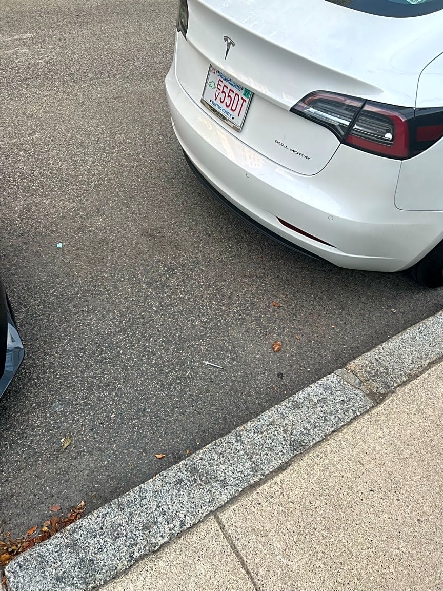Image submitted with report