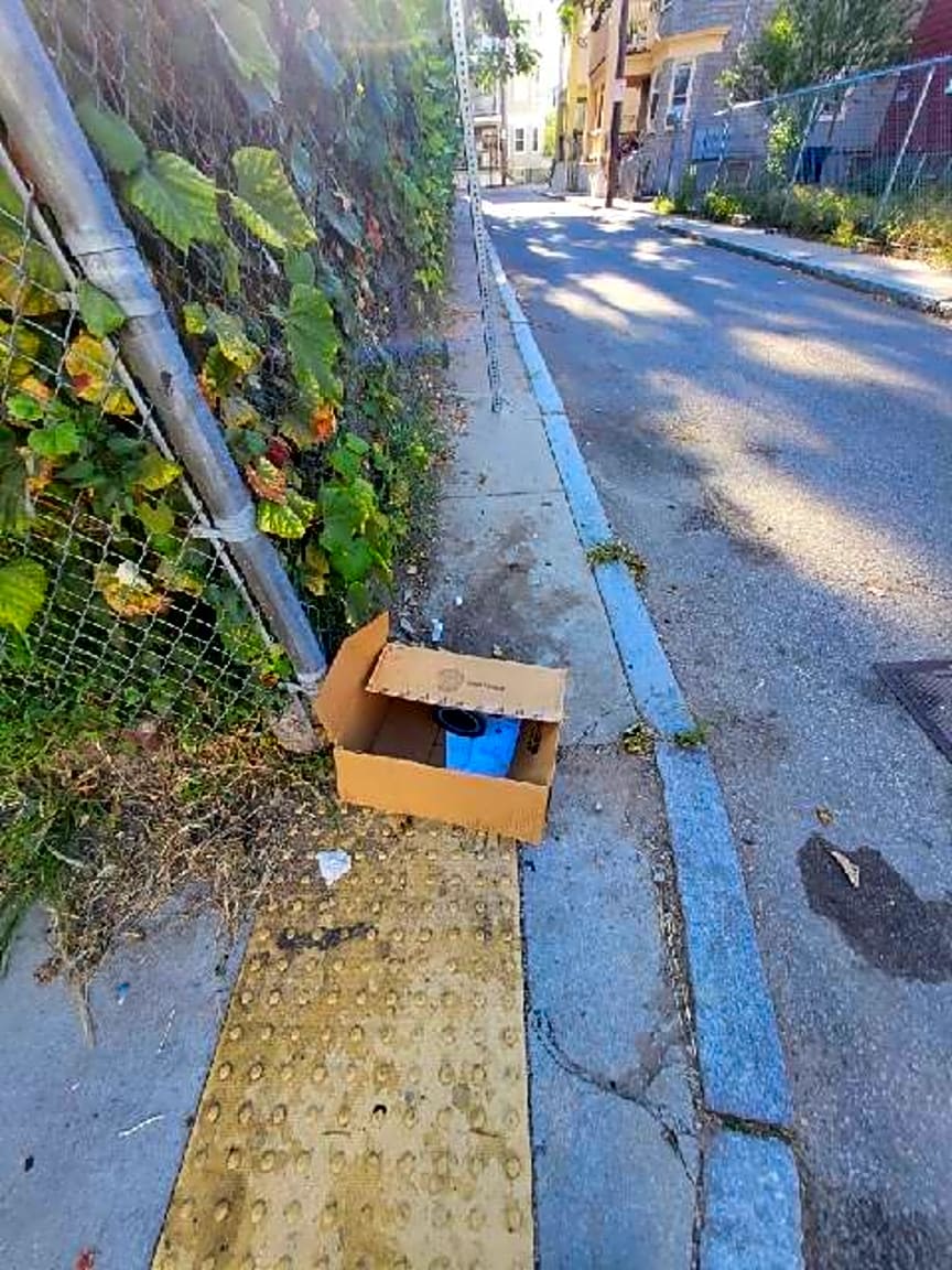 Image submitted with report