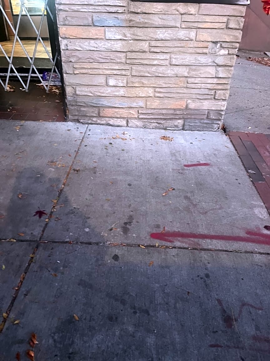 Image submitted with report