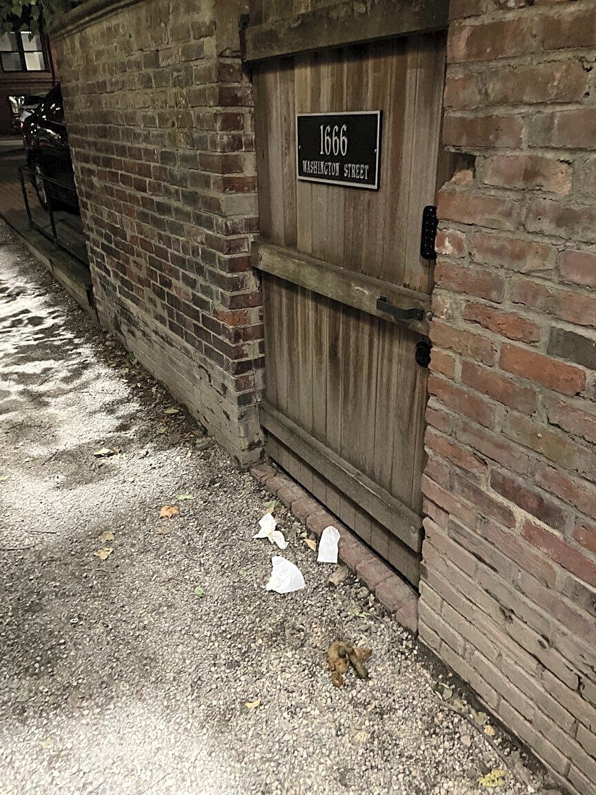 Image submitted with report