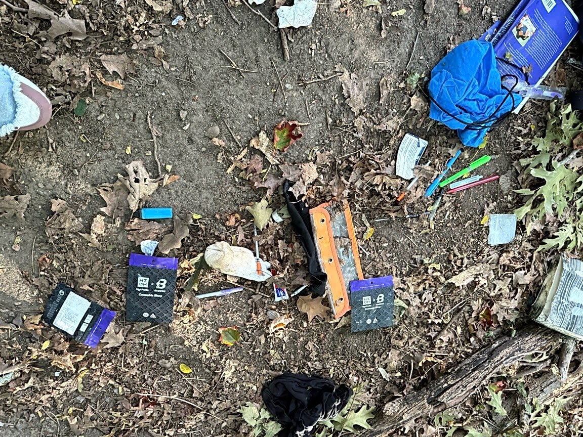 Image submitted with report