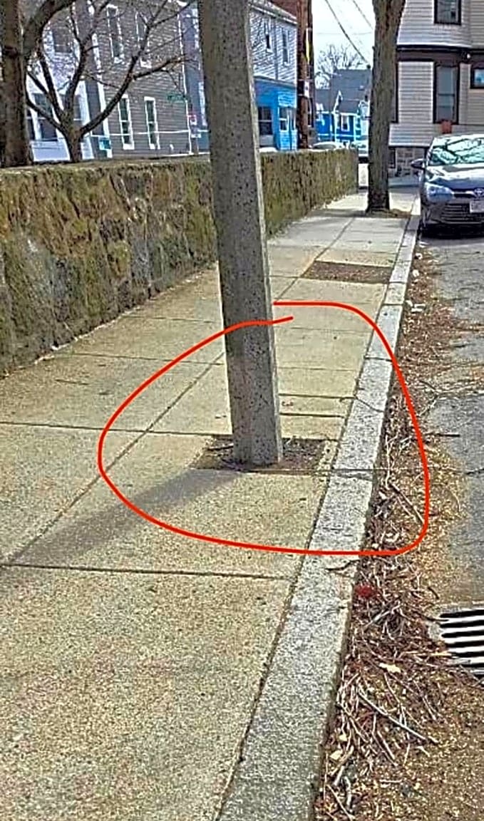 Image submitted with report