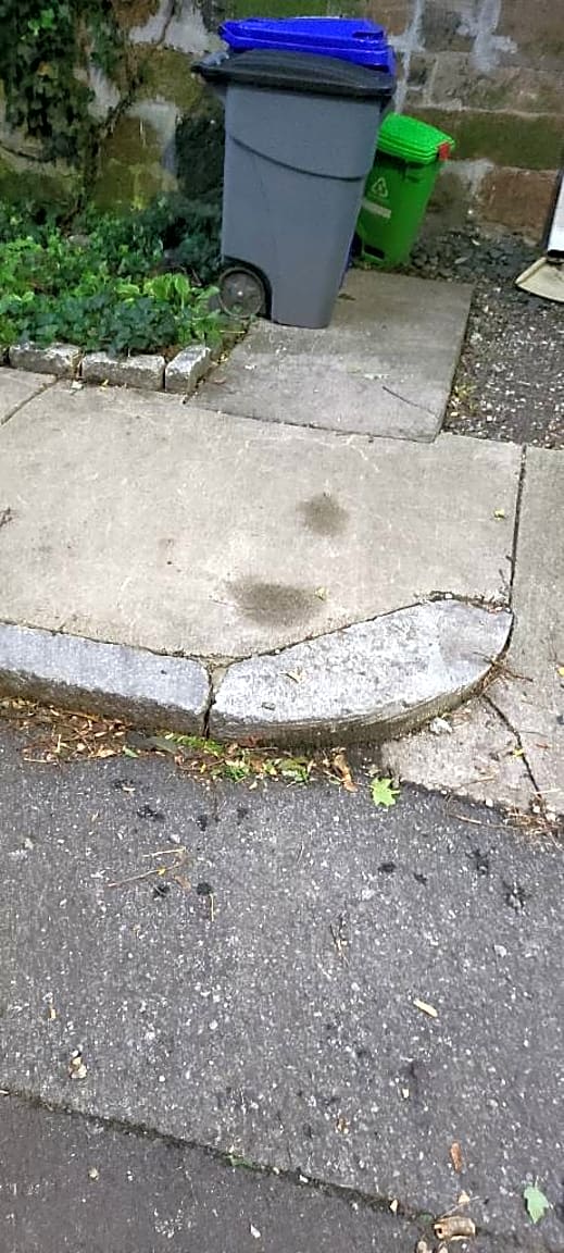 Image submitted with report