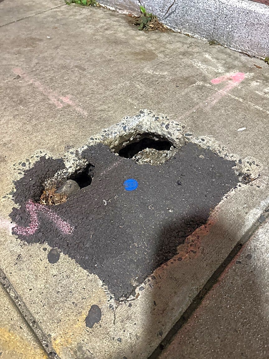 Image submitted with report