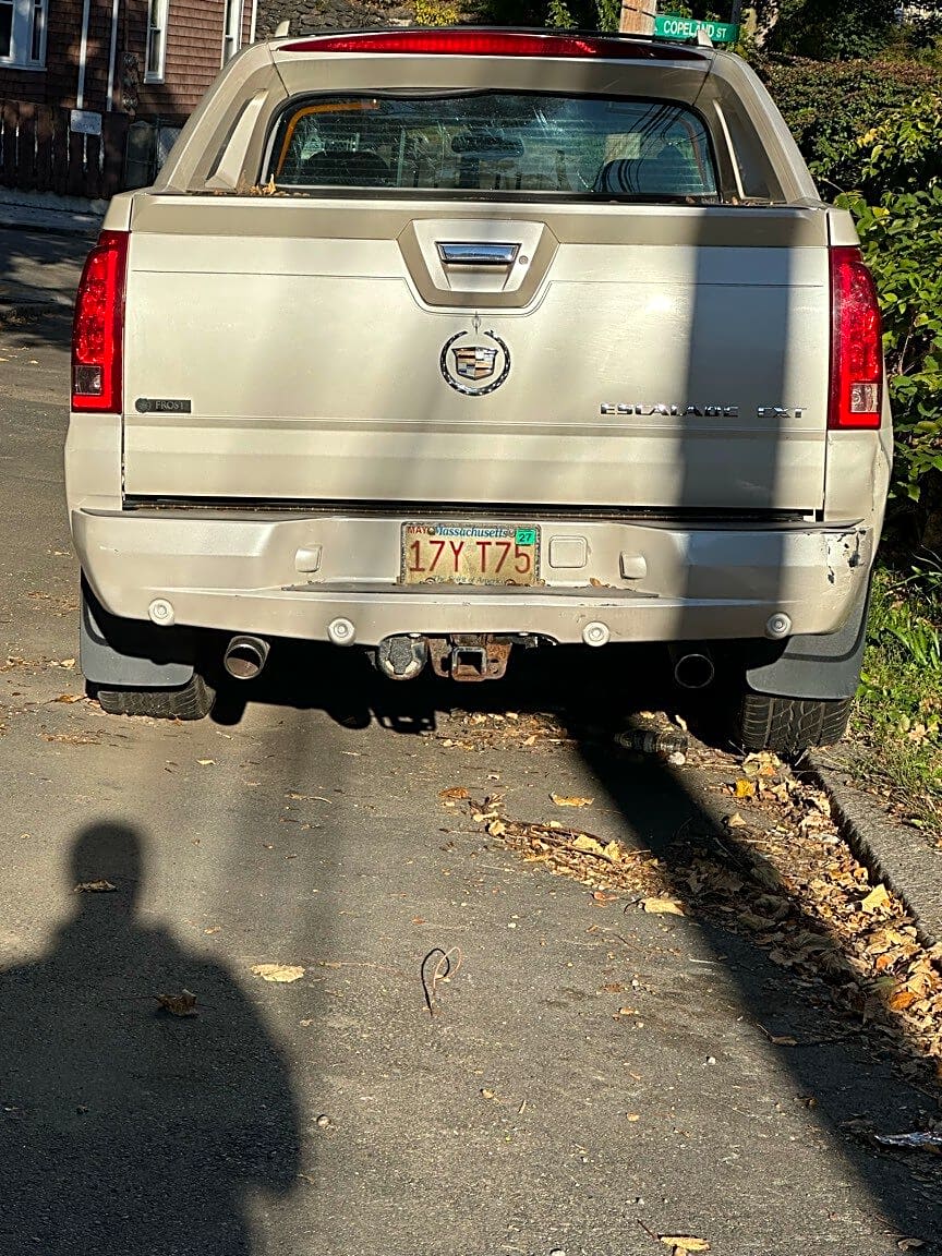 Image submitted with report