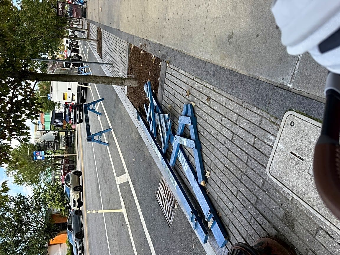 Image submitted with report