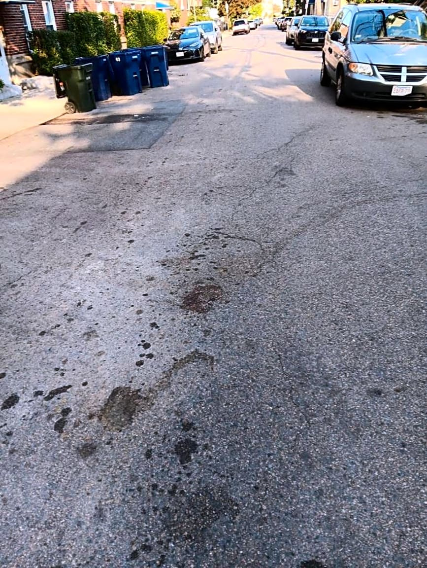 Image submitted with report