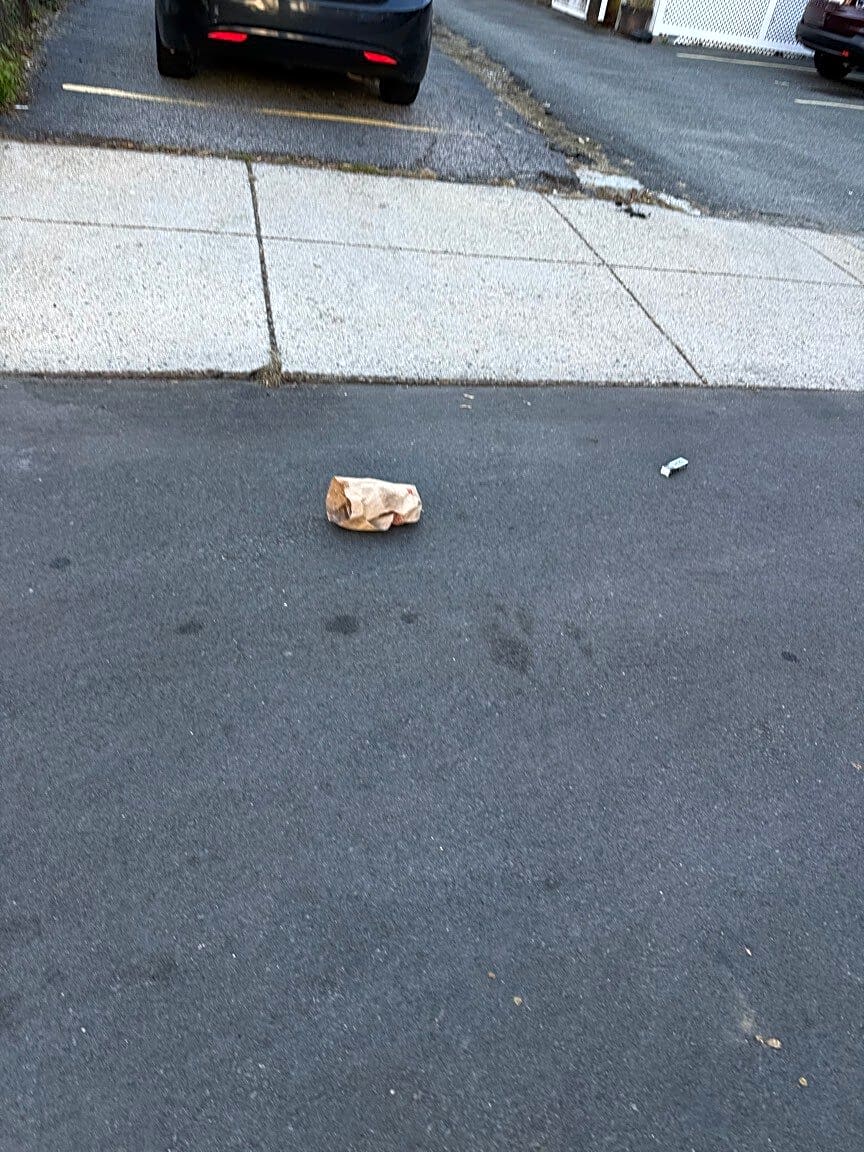 Image submitted with report