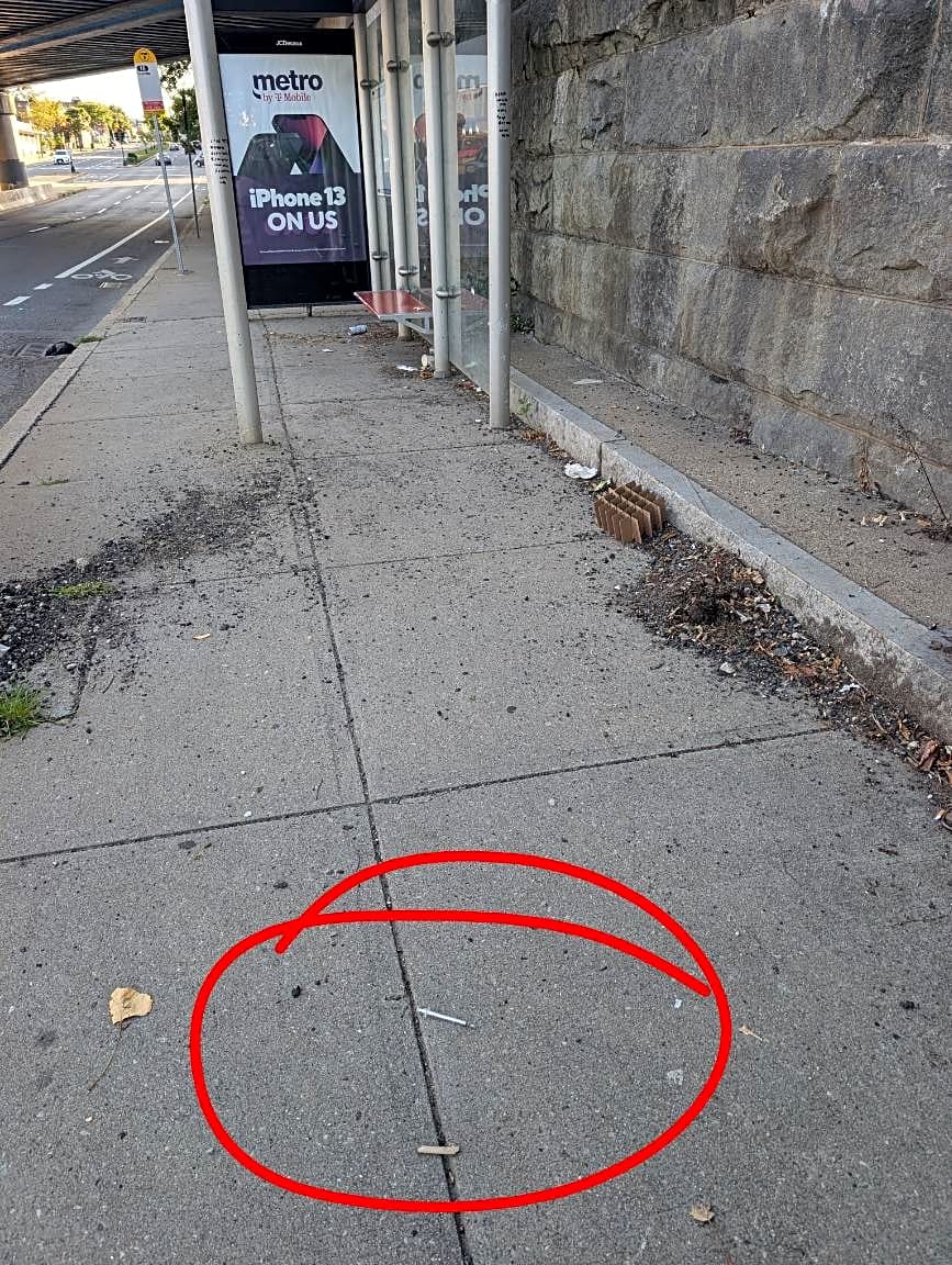 Image submitted with report