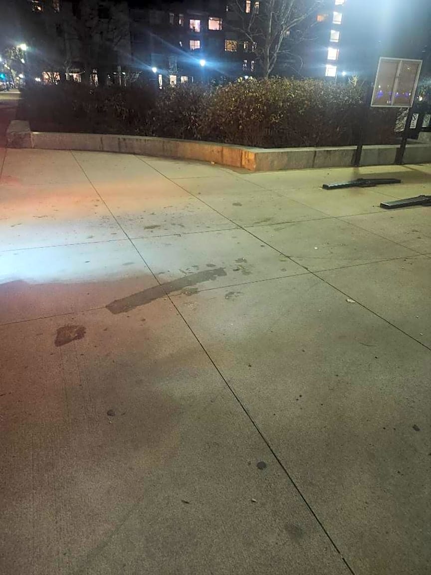 Image submitted with report