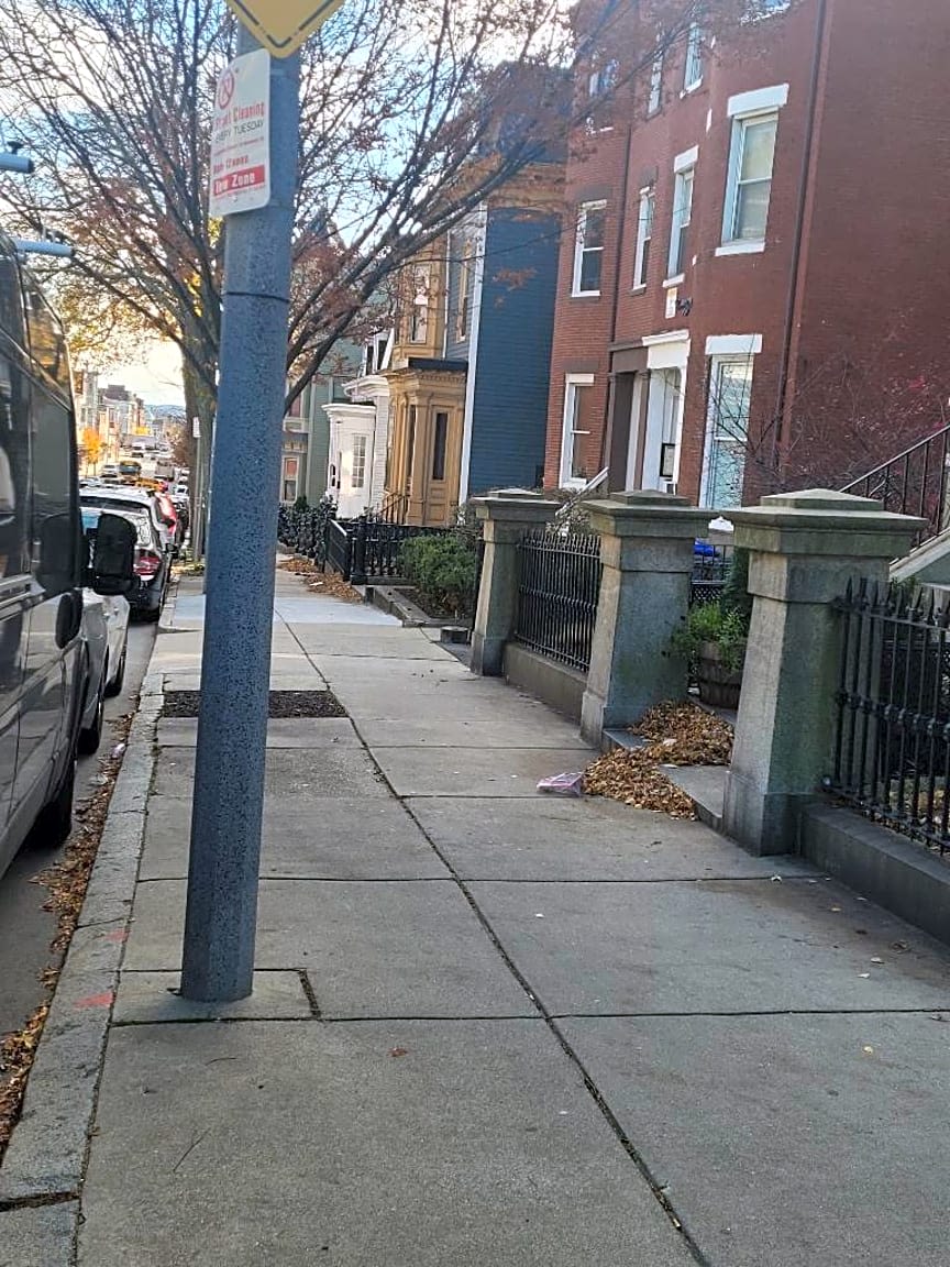 Image submitted with report