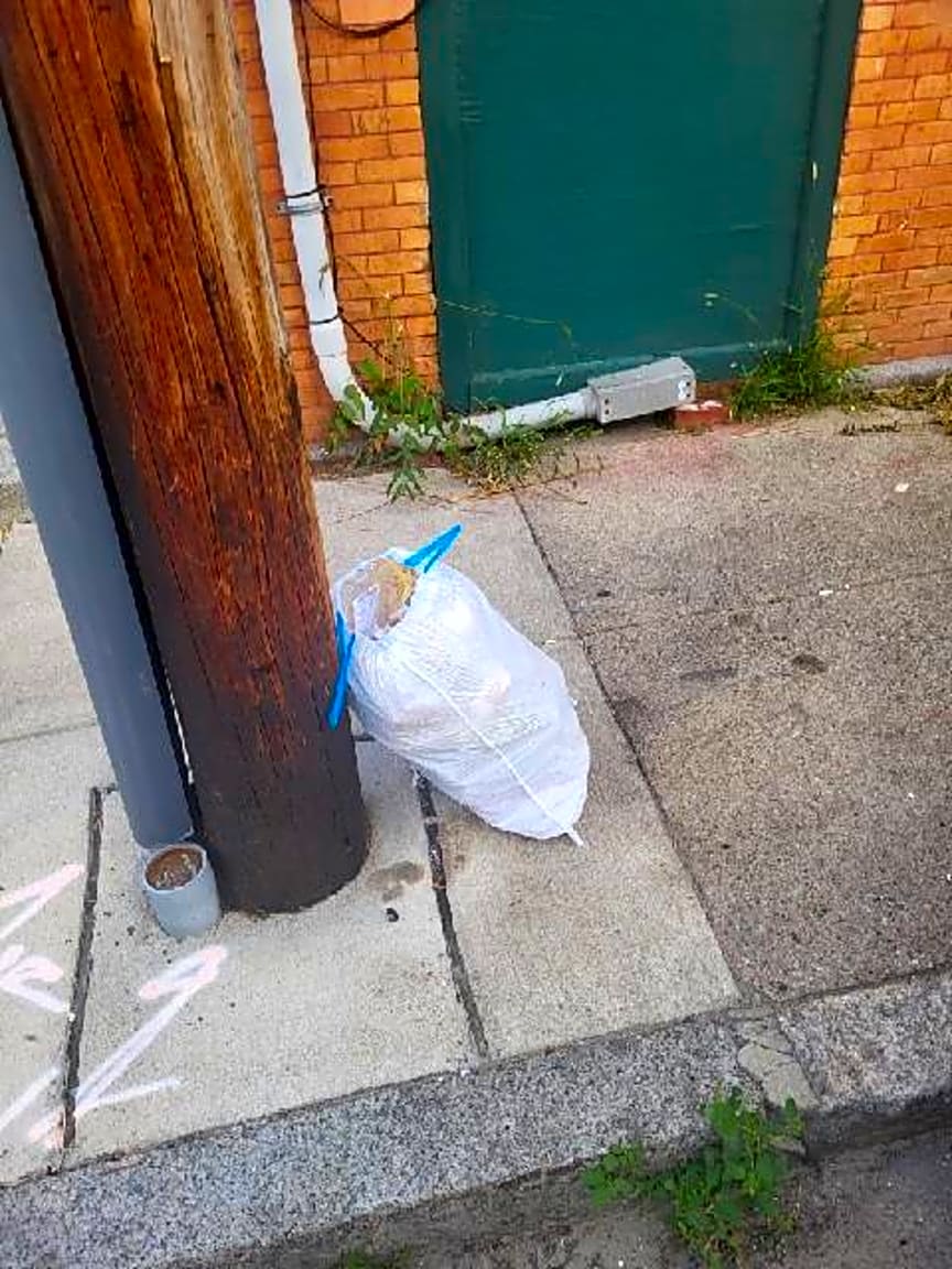 Image submitted with report
