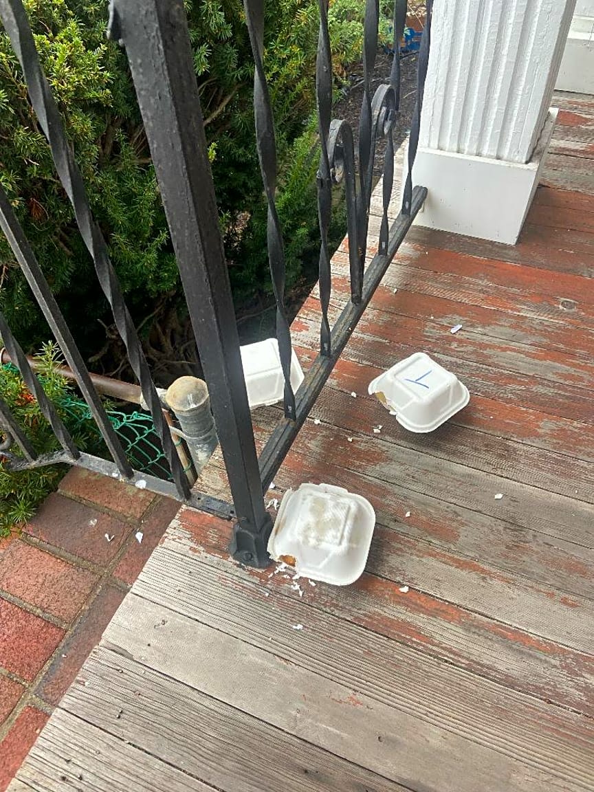 Image submitted with report