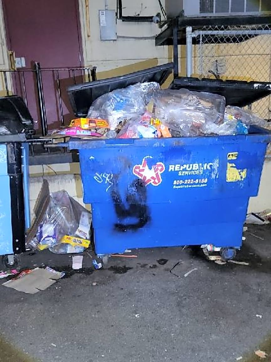 Image submitted with report