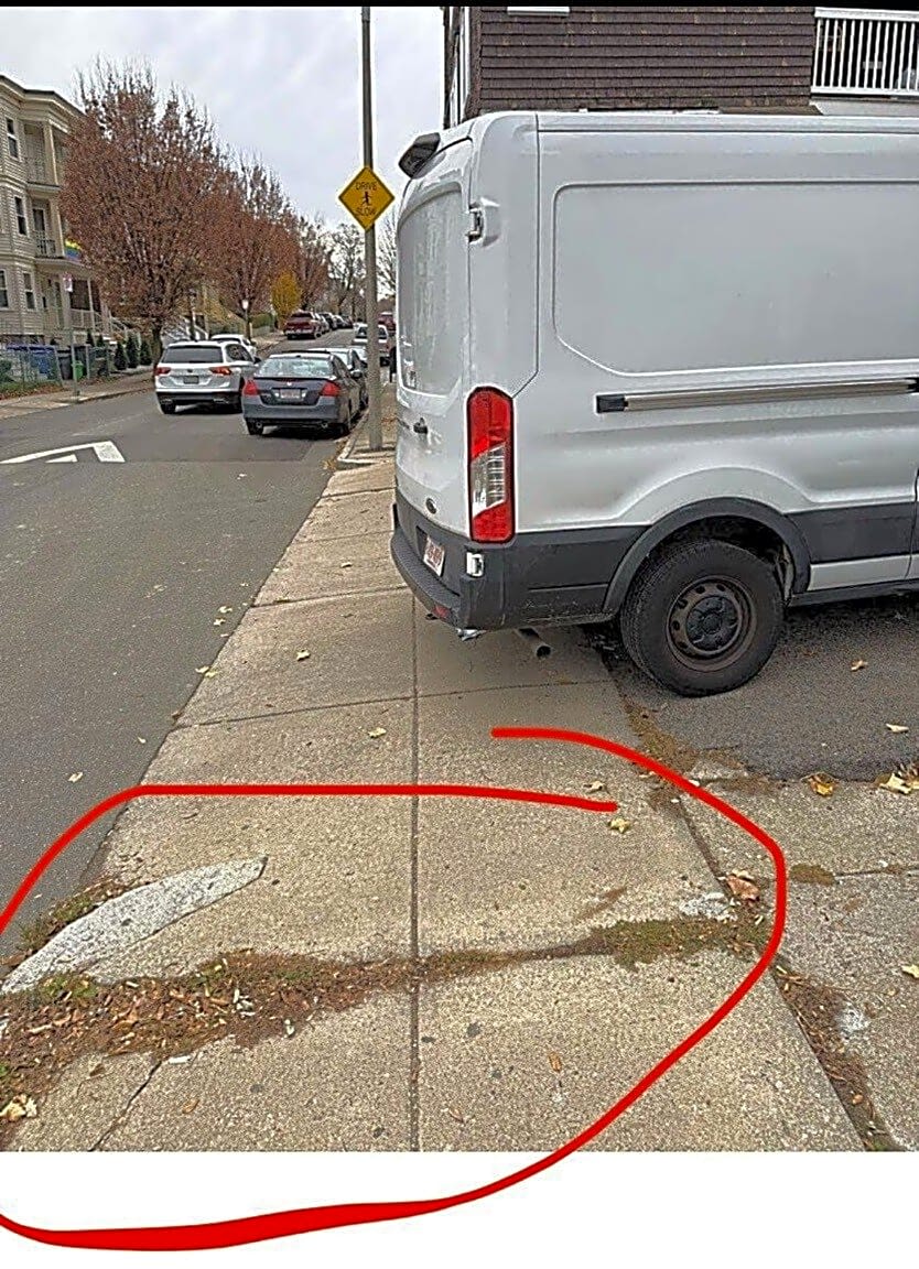 Image submitted with report