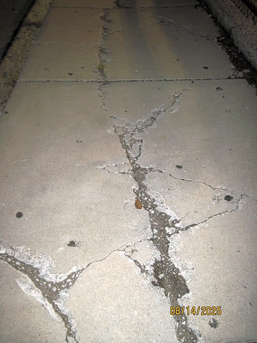 Image submitted with report