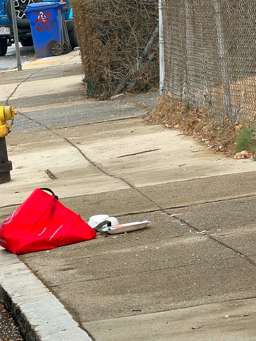 Image submitted with report