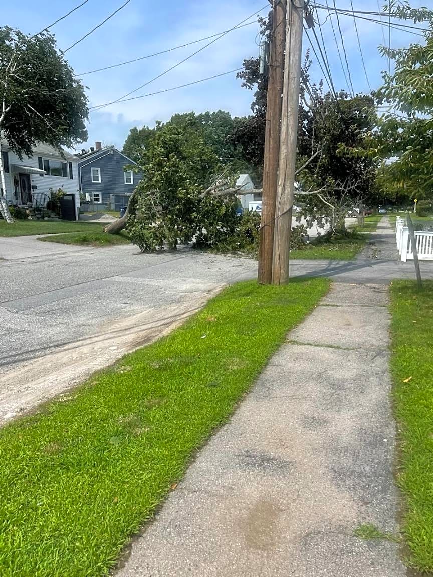 Image submitted with report