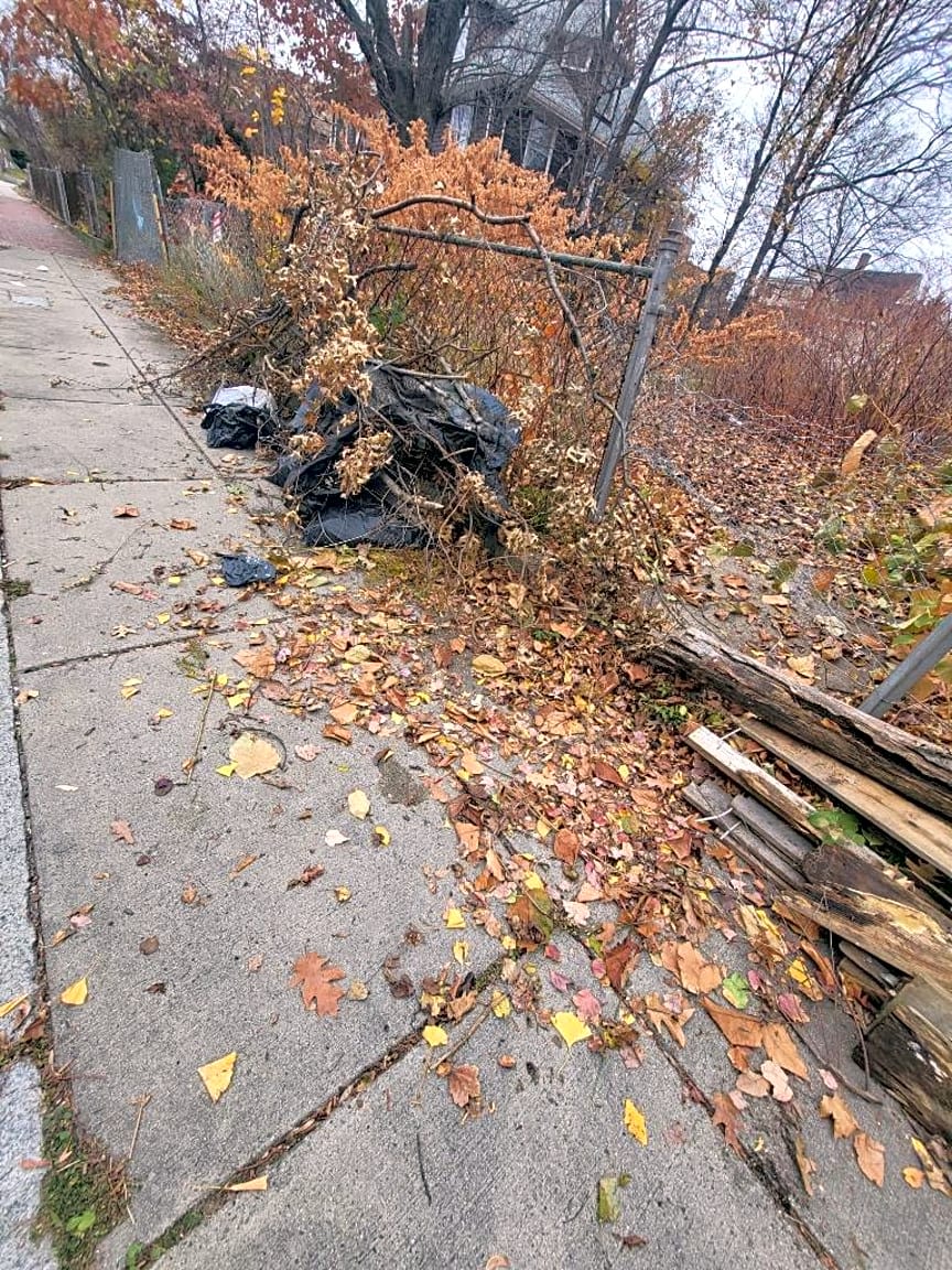 Image submitted with report