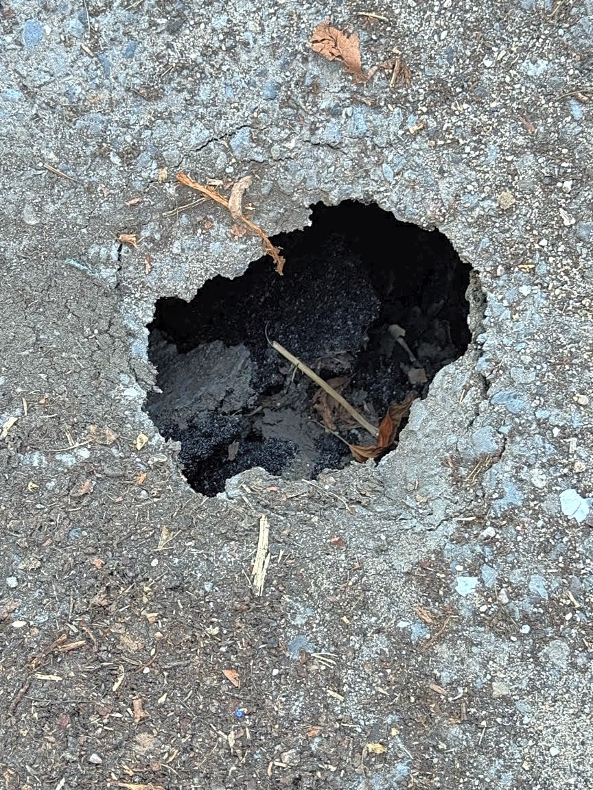 Image submitted with report