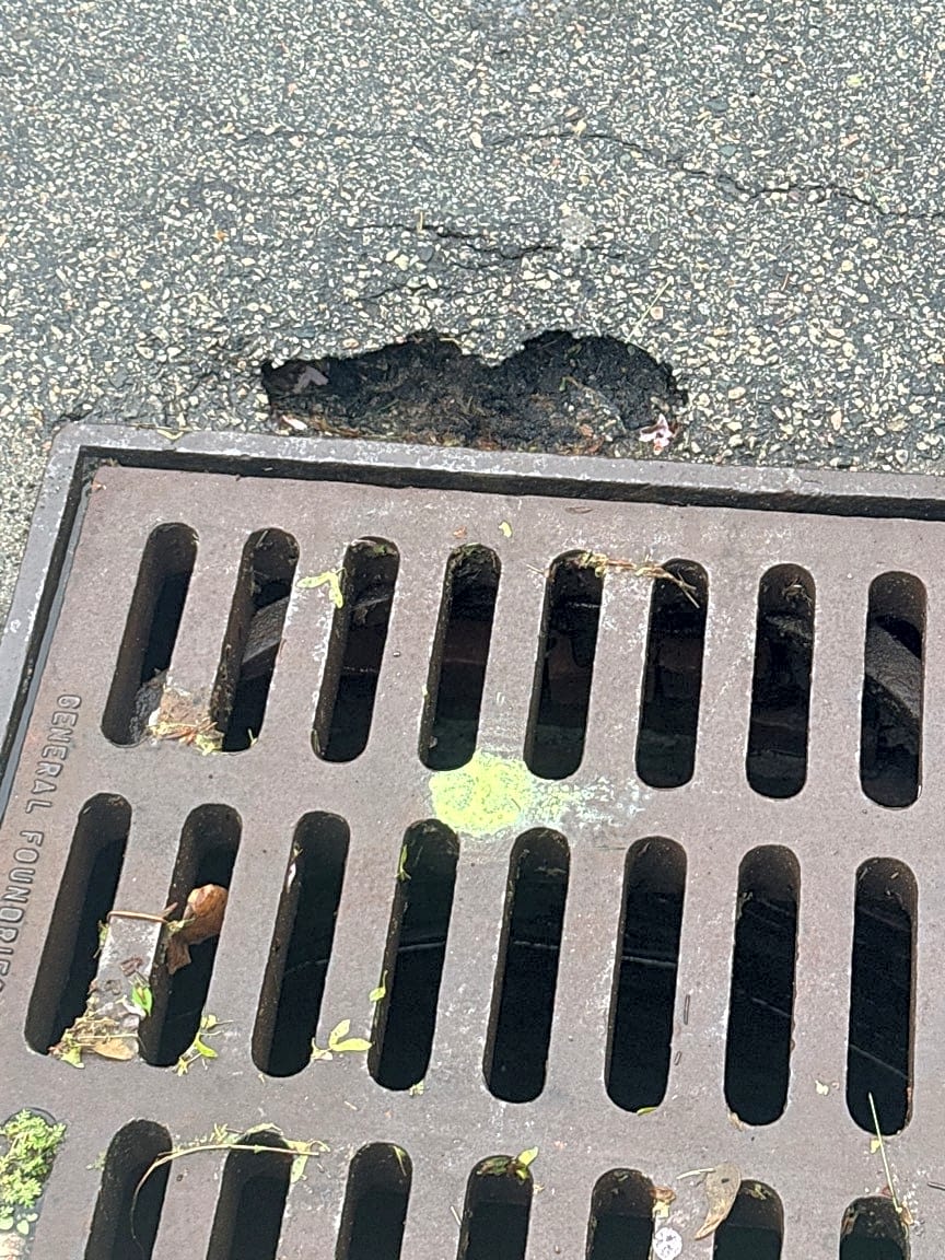 Image submitted with report