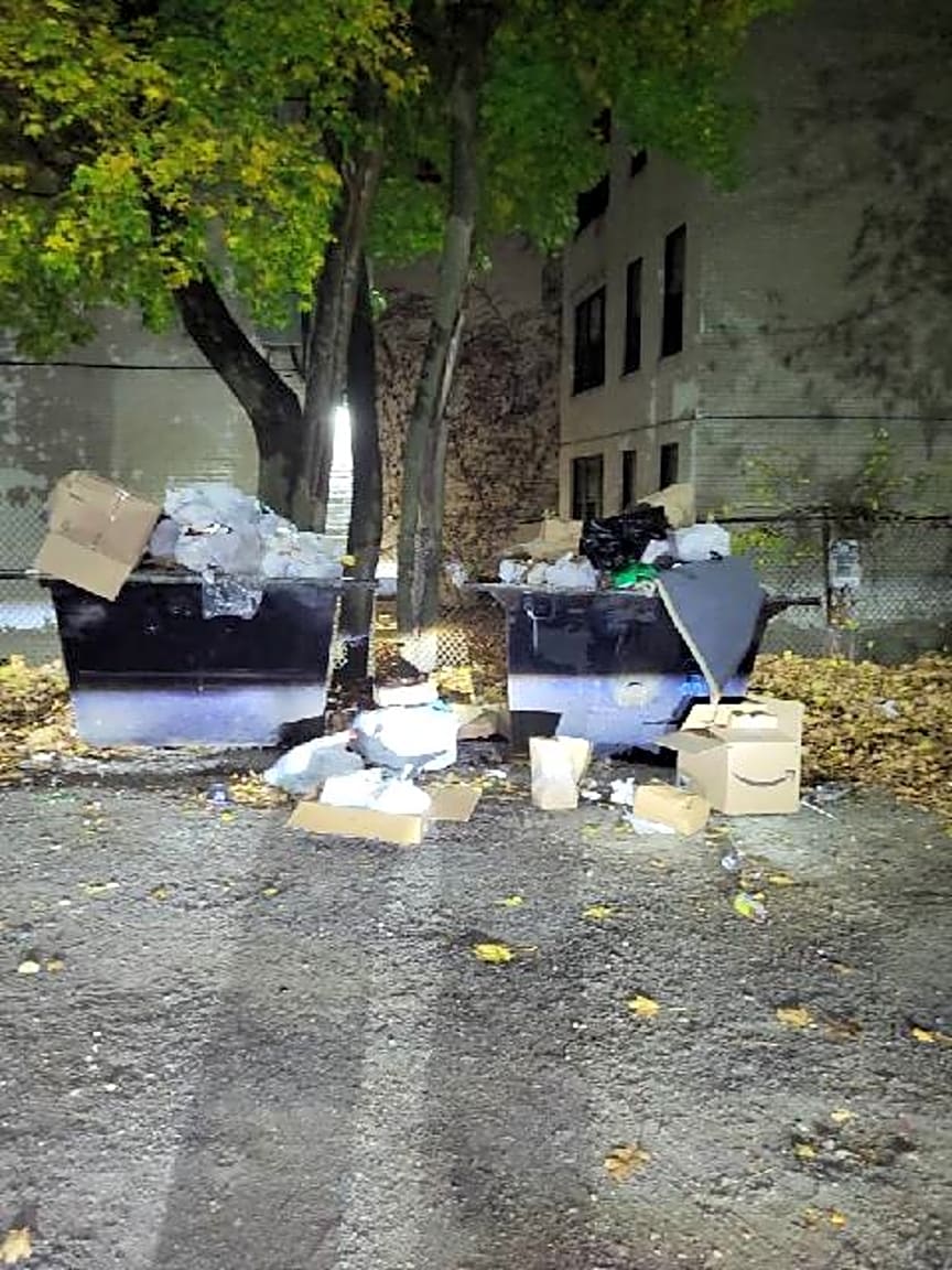 Image submitted with report