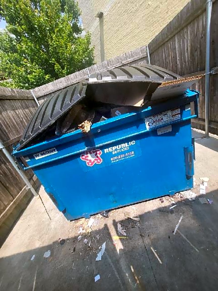 Image submitted with report
