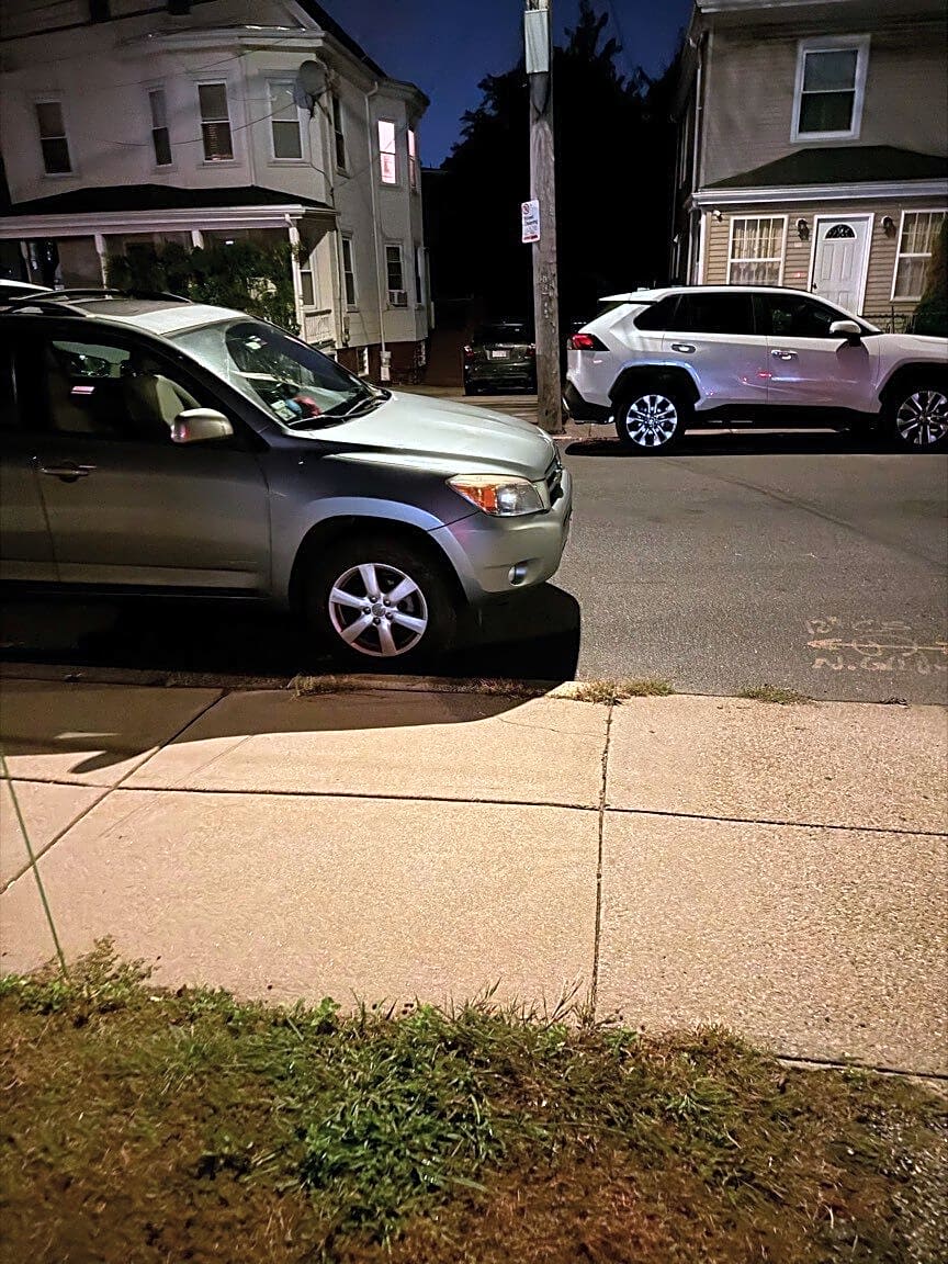 Image submitted with report