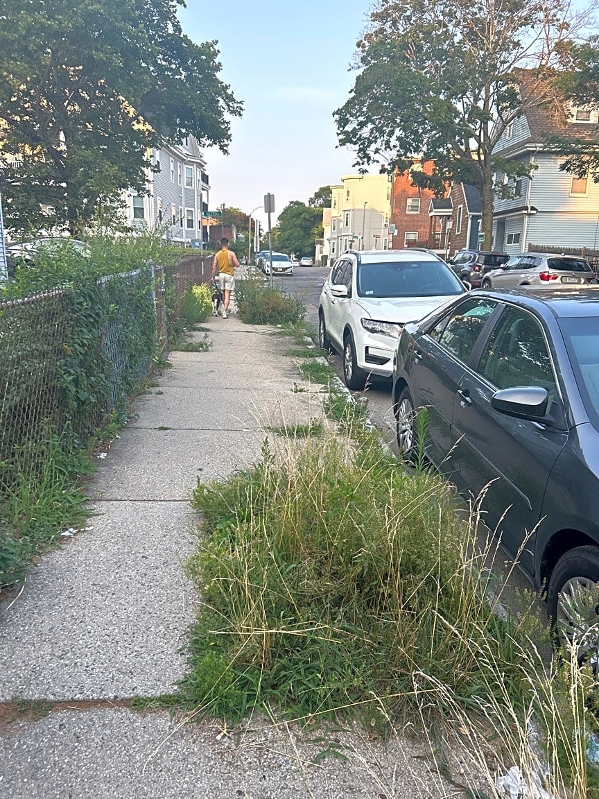 Image submitted with report